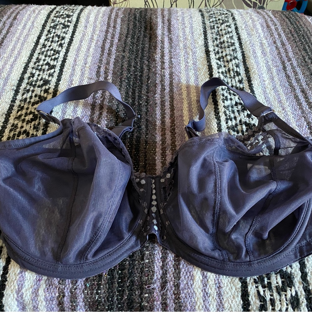 Elomi Lace Bra gently used in excellent condition